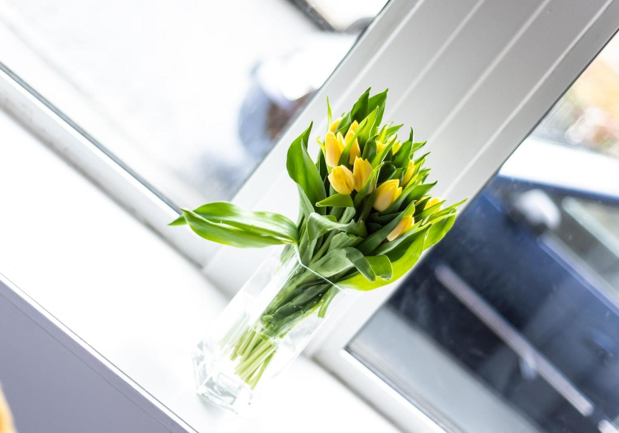Albion Apartment By Klass Living Coatbridge Εξωτερικό φωτογραφία