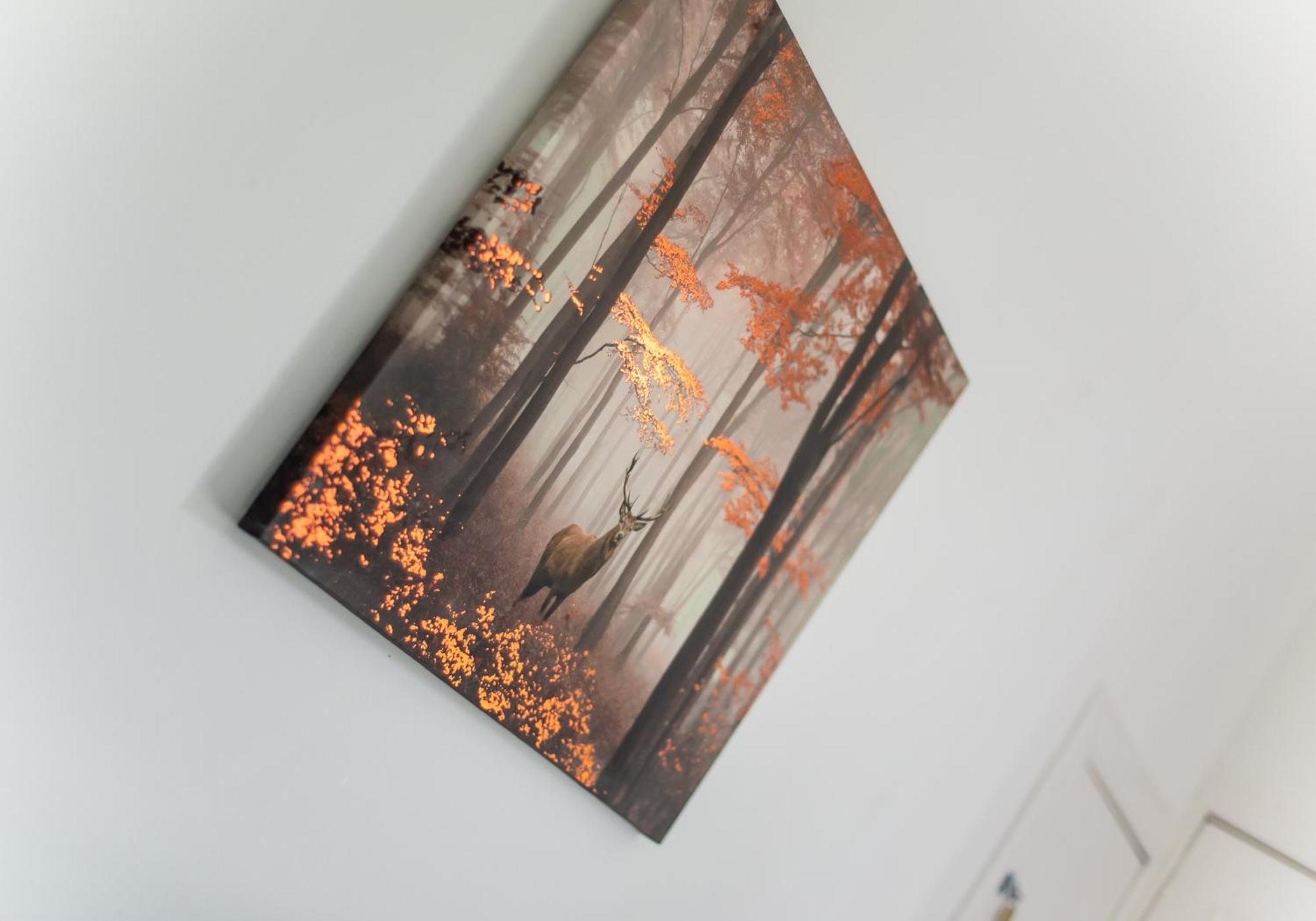 Albion Apartment By Klass Living Coatbridge Εξωτερικό φωτογραφία
