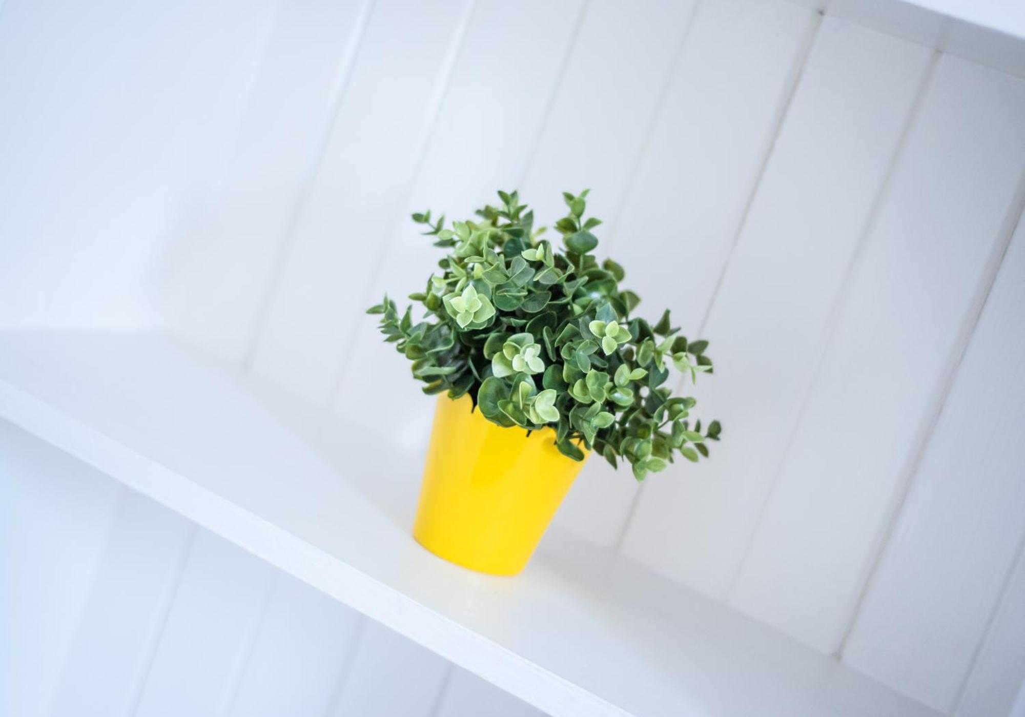 Albion Apartment By Klass Living Coatbridge Εξωτερικό φωτογραφία